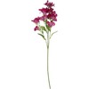 Dirbtinė gėlė ILAJA, 3 spalvų, 75 cm