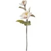 Dirbtinė gėlė ILAJA MAGNOLIA, rožinės sp., 83 cm