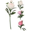 Mondex Dirbtinė gėlė PEONY, 3 spalvos, 17 cm