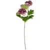 None Dirbtinė gėlė PEONY, 3 spalvos, 17 cm