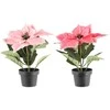 Bikuva.lt Dirbtinė gėlė puansetija 20 cm (2 spalvų) 4Living 620774
