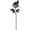 Dirbtinė gėlė ROSE, kreminės sp., 78 cm