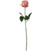 Dirbtinė gėlė ROSE, raudonos sp., 78 cm