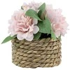 Dirbtinė gėlė vazonėlyje ILAJA, 4 rūšys, 11 cm