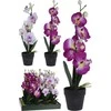 Dirbtinė gėlė vazonėlyje ORCHID, 38 cm
