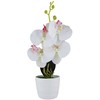 Dirbtinė gėlė vazonėlyje ORCHID, 38 cm