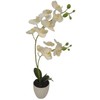 Dirbtinė orchidėja vazone 52cm balta