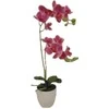Dirbtinė orchidėja vazone 52cm fuksijų sp.