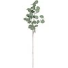Dirbtinė šakelė 90cm eukaliptas