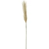 Dirbtinė šakelė ILAJA FLUFFY, rusvos sp., 86 cm, 1 vnt