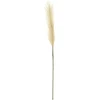 Dirbtinė šakelė ILAJA FLUFFY, rusvos sp., 86 cm, 1 vnt