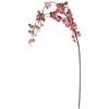 Dirbtinė šakelė ILAJA, kreminės sp., 115 cm