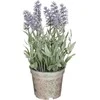Dirbtinės levandos vazone H21.5cm violetinės
