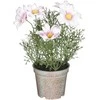 Dirbtinės ramunės vazone H21.5cm rožinės
