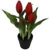Dirbtinės tulpės vazonėlyje 24cm skirtingų spalvų