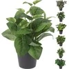 ProGarden Dirbtinis augalas BUXUS BALL, žalios sp., 18 cm