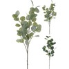 Mondex Dirbtinis augalas EUCALYPTUS, žalios sp., 65 cm