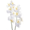 Dirbtinis augalas Orchidėja su vazonu 11x11x50 cm balta 4Living 612530