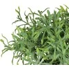 Nežinomas Dirbtinis augalas vazone, vaistažolės Splendid, 20 cm