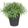 Nežinomas Dirbtinis augalas vazone, vaistažolės Splendid, 20 cm