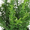 Nežinomas Dirbtinis augalas vazone, vaistažolės Splendid, 22 cm
