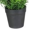 Nežinomas Dirbtinis augalas vazone, vaistažolės Splendid, 22 cm