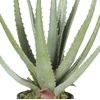Dirbtinis augalas vazonėlyje 45cm alavijas