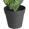 Dirbtinis augalas vazonėlyje 45cm maranta