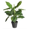 Dirbtinis augalas vazonėlyje 45cm maranta