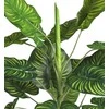 Dirbtinis augalas vazonėlyje 45cm maranta