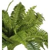 Dirbtinis augalas vazonėlyje 55cm papartis