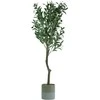 Dirbtinis augalas vazonėlyje H120cm alyvmedis