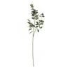 Dirtinė gėlė ILAJA EUCALYPTUS, žalsvos sp., 93 cm, 1 vnt