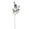Dirtinė gėlė ILAJA EUCALYPTUS, žalsvos sp., 93 cm, 1 vnt