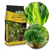 Dirvožemis palmėms „Yucky Dracen Biovita“ 20 l