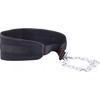 Diržas svorių kilnojimui su grandine inSPORTline Chainbelt (iki 5kg)