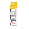 Dizaino rašiklių rinkinys S520-ST4ABCDPL 4 spalvų - PENTEL