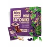 Dobra Kaloria Kaloringi MINI CASHEW BONENTAI A LA serbentų pyragas 108g