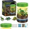 Drobiazgarnia PROJEKTORIUS Dino sodo terariumas su dinozaurų LED lempų augalais