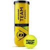 Dunlop Padangos WINTER 98 V XL (C C B 70dB)