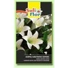 Suliflor Durpių substratas kapams, smulkus, 20 l