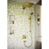 Hansgrohe rokas duša Raindance Select S 120 3jet, polished auksinis optic