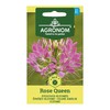 Dygiųjų kleomių ROSE QUEEN sėklos, 0,4 g