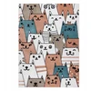 Dywany Uszczow Fun Kilimas Gatti 200x290 cm