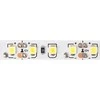 Eco Light LED juosta IP20 600LED 2835 5m 12V 6500K