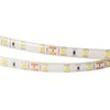 Eco Light LED juosta IP63 300LED 2835 5m 12V 6500K