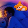 Ecolight LED vaikų silikoninė naktinė lempa lapė, USB-C, 2.5W, 4000K