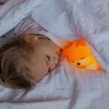 Ecolight LED vaikų silikoninė naktinė lempa lapė, USB-C, 2.5W, 4000K