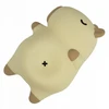 Ecolight MARY'S LED NAKTINIS LEMPAS CAPYBARA SNORING BRETHING USB