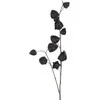 Edelman Dirbtinė dumplūnė L94cm juoda
